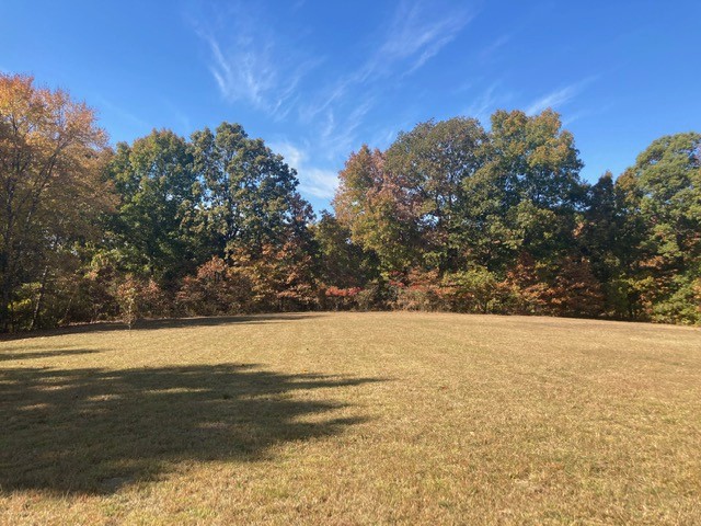 7838 Shoals Branch Road Primm Springs, TN 38476 - Photo 30 of 36 Gallery Image 30