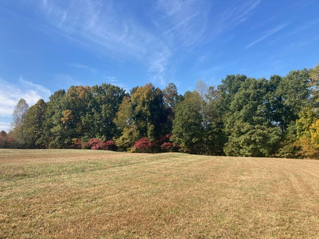 7838 Shoals Branch Road Primm Springs, TN 38476 - Photo 32 of 36 Gallery Image 32