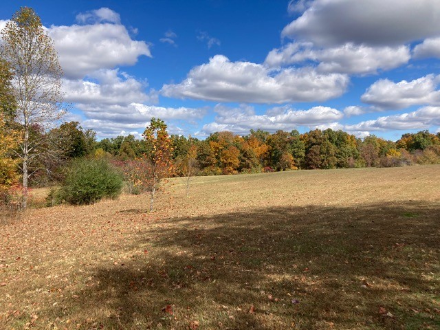 7838 Shoals Branch Road Primm Springs, TN 38476 - Photo 36 of 36 Gallery Image 36