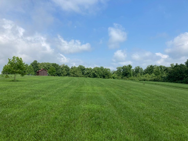 7838 Shoals Branch Road Primm Springs, TN 38476 - Photo 9 of 36 Gallery Image 9