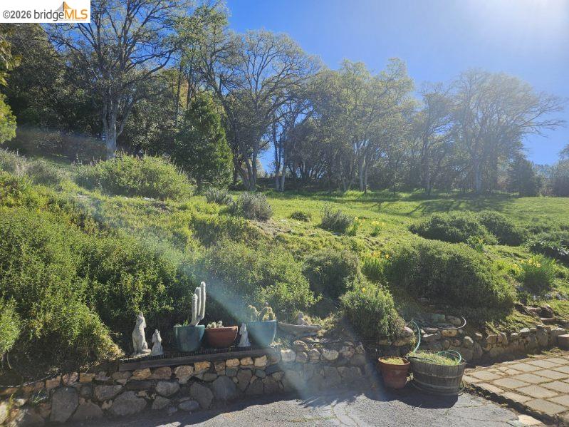 19967 Peaceful Oak Road Sonora, CA 95370 - Photo 23 of 35 View of yard