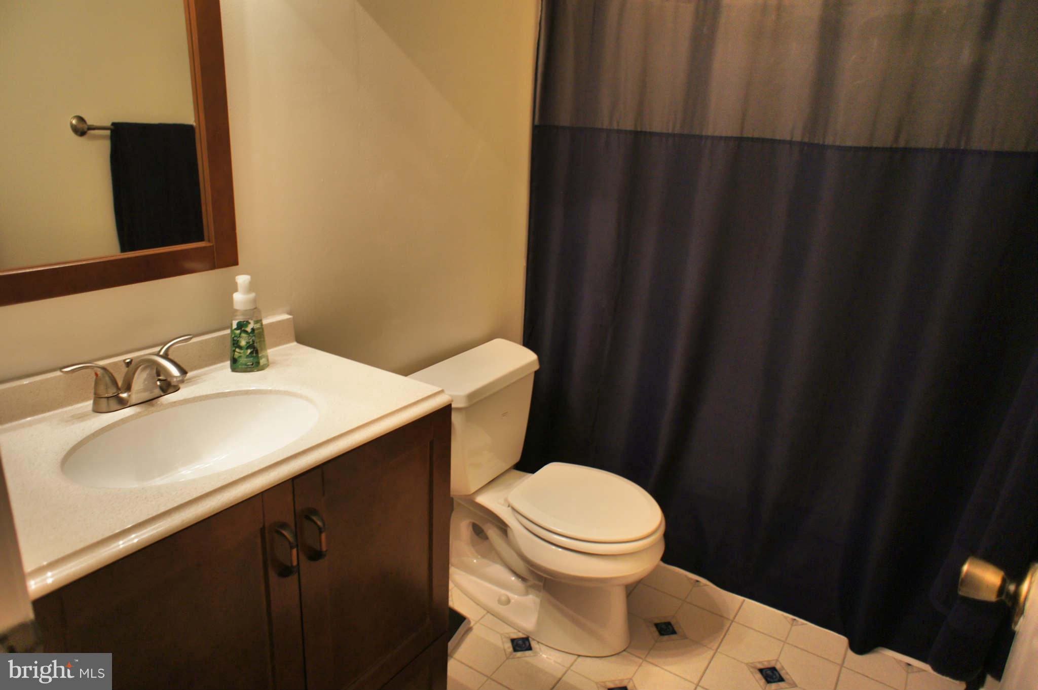 2905 Timber Ridge Drive Mount Airy, MD 21771 - Photo 8 of 14 Bath