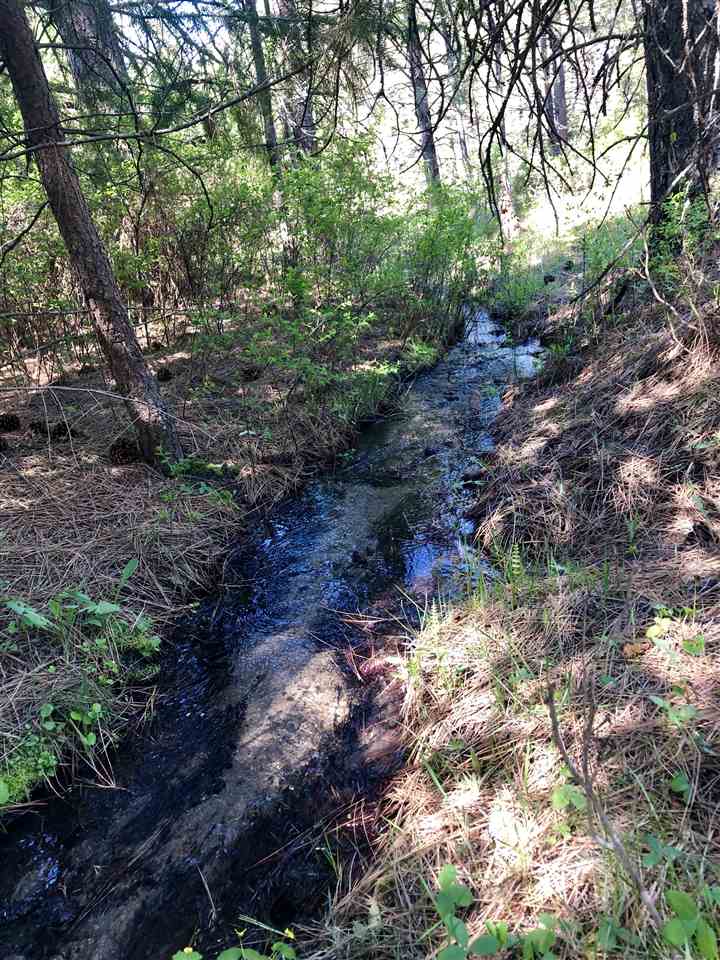 Lot 8 North Jefferson Road Elk, WA 99009 - Photo 1 of 4