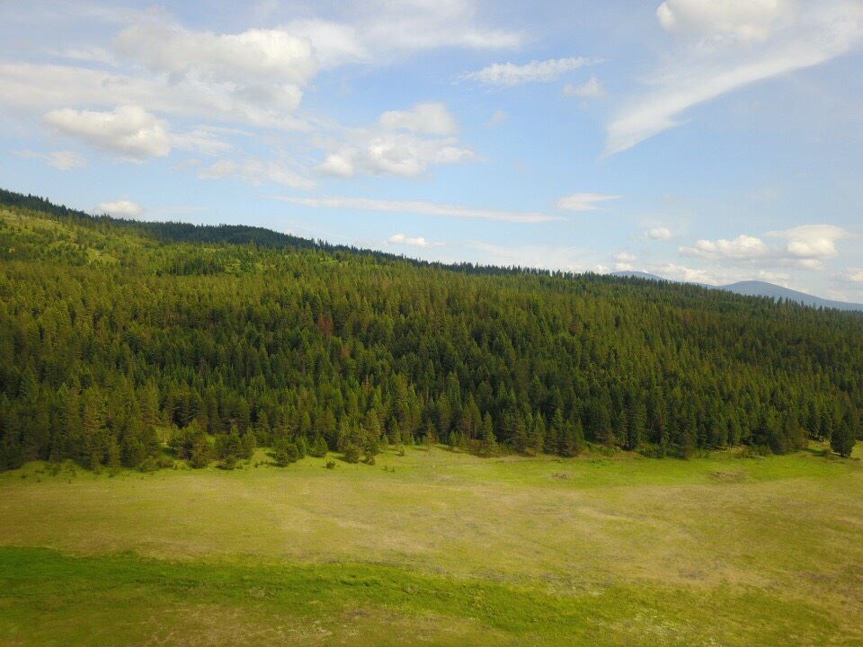 Lot 8 North Jefferson Road Elk, WA 99009 - Photo 4 of 4