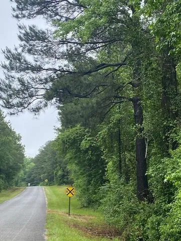 a view of a park with large trees