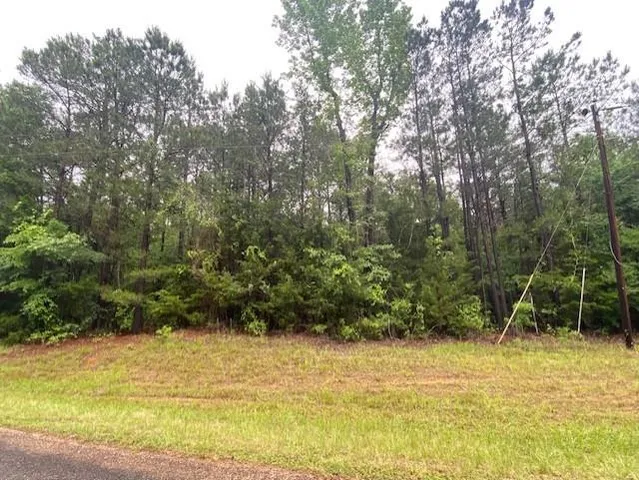 a view of an outdoor space and a yard
