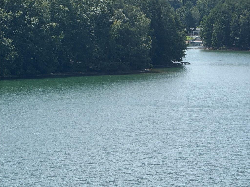 4265 Sinclair Shores Road Cumming, GA 30041 - Photo 17 of 18 a view of a yard