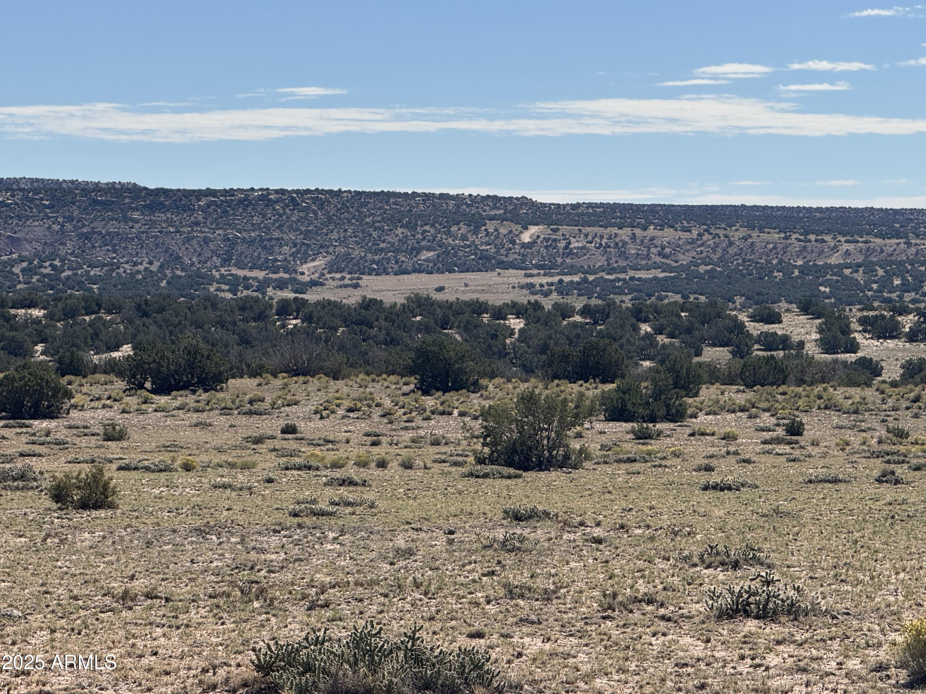 Lot 746 Woodland Valley Ranch, Unit 746 St. Johns, AZ 85936 - Photo 1 of 12 a view of a lake with a mountain