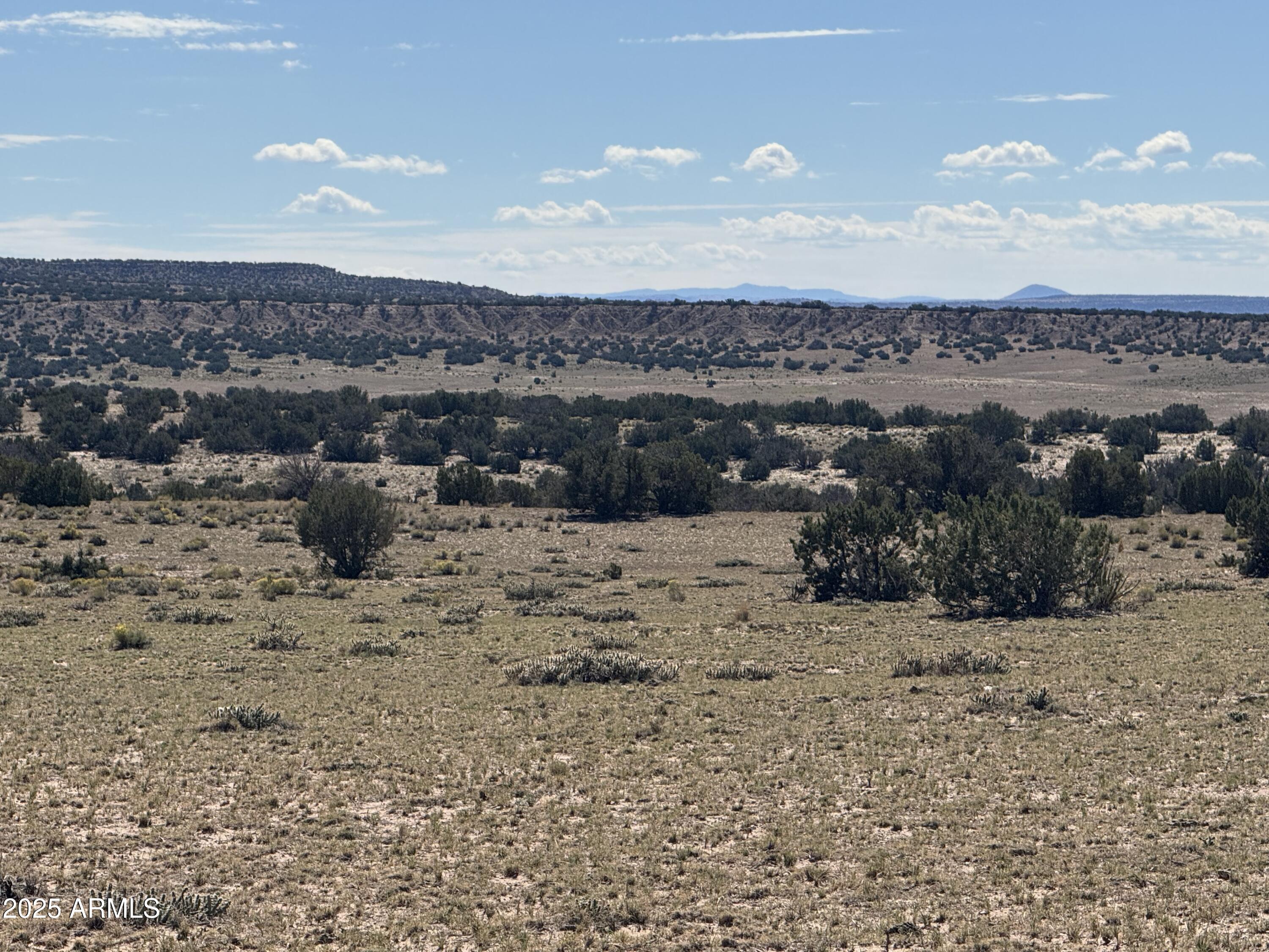 Lot 746 Woodland Valley Ranch, Unit 746 St. Johns, AZ 85936 - Photo 2 of 12 a view of a sky view
