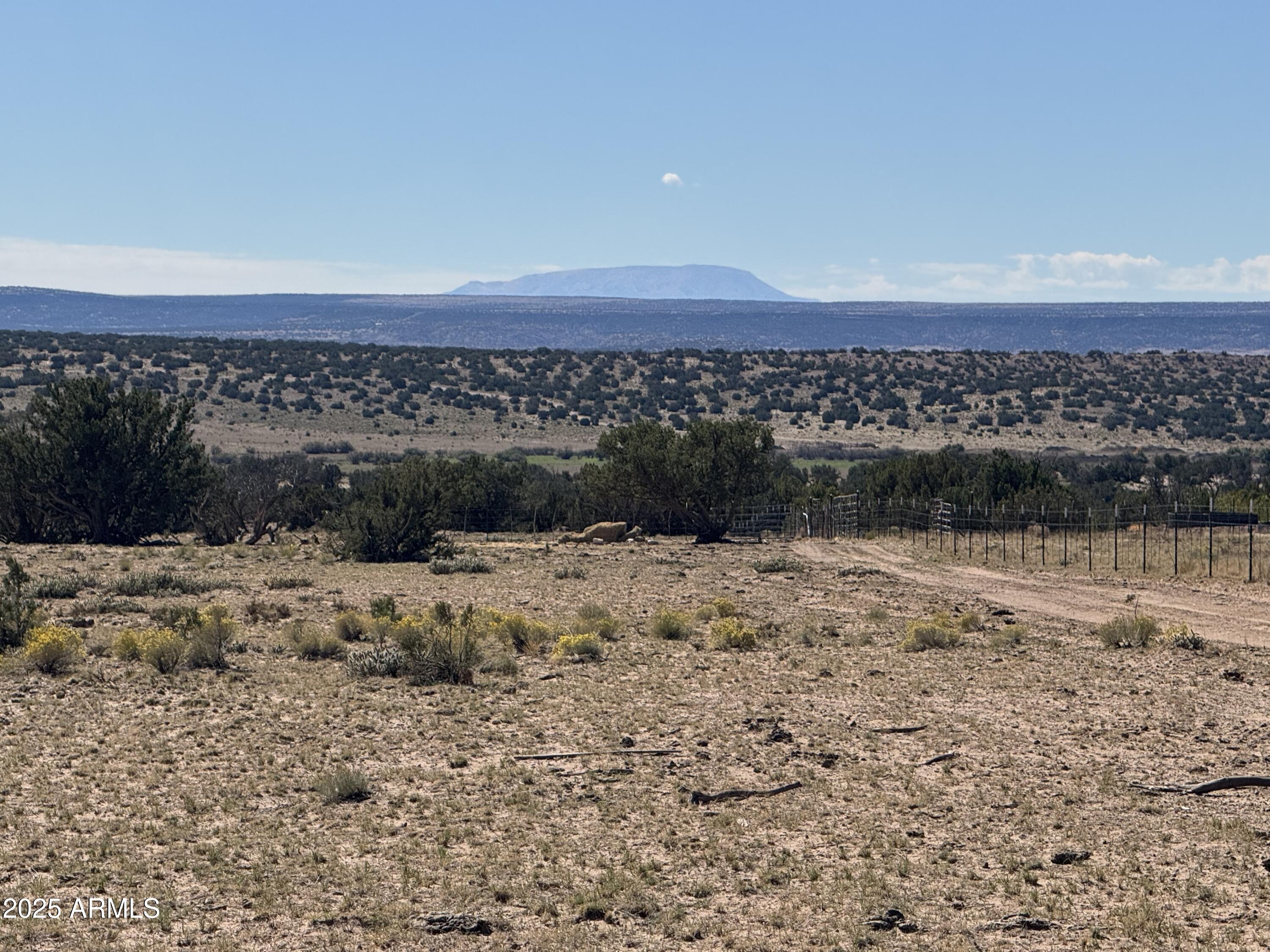 Lot 746 Woodland Valley Ranch, Unit 746 St. Johns, AZ 85936 - Photo 4 of 12 a view of lake view and mountain