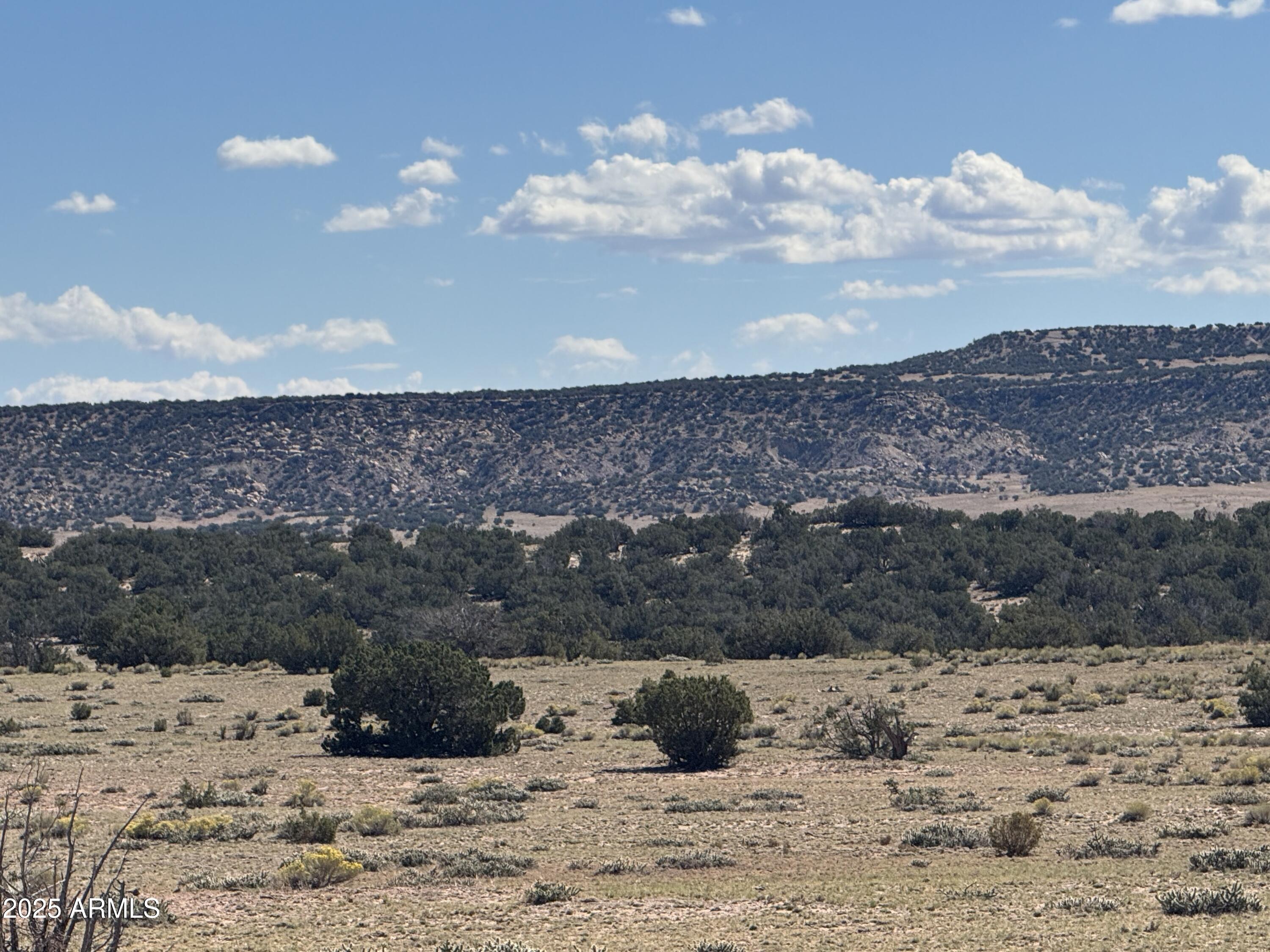 Lot 746 Woodland Valley Ranch, Unit 746 St. Johns, AZ 85936 - Photo 5 of 12 a view of a terrace view