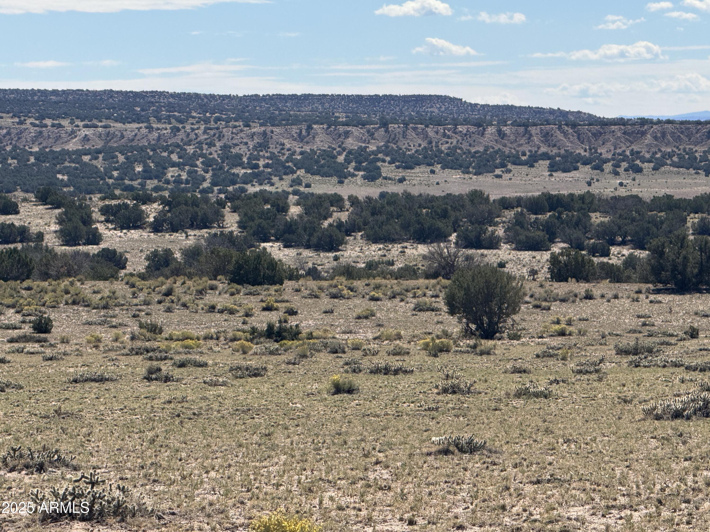 Lot 746 Woodland Valley Ranch, Unit 746 St. Johns, AZ 85936 - Photo 6 of 12 a view of city and mountain