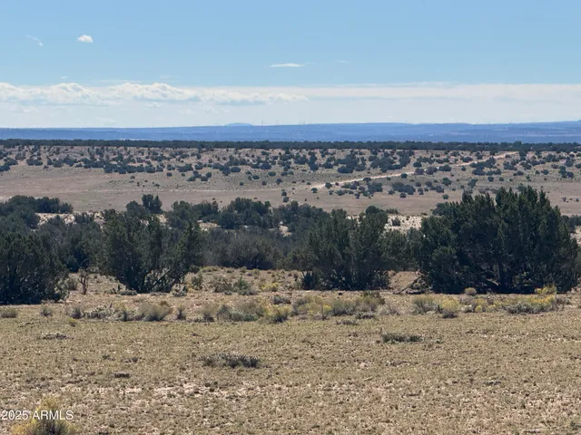a view of a yard covered in snow