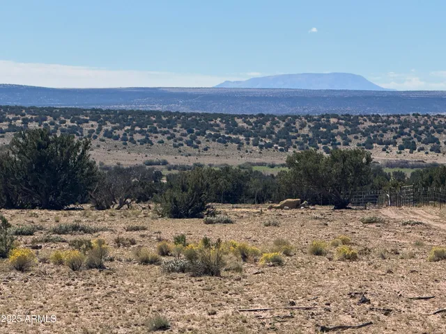 a view of a dry yard