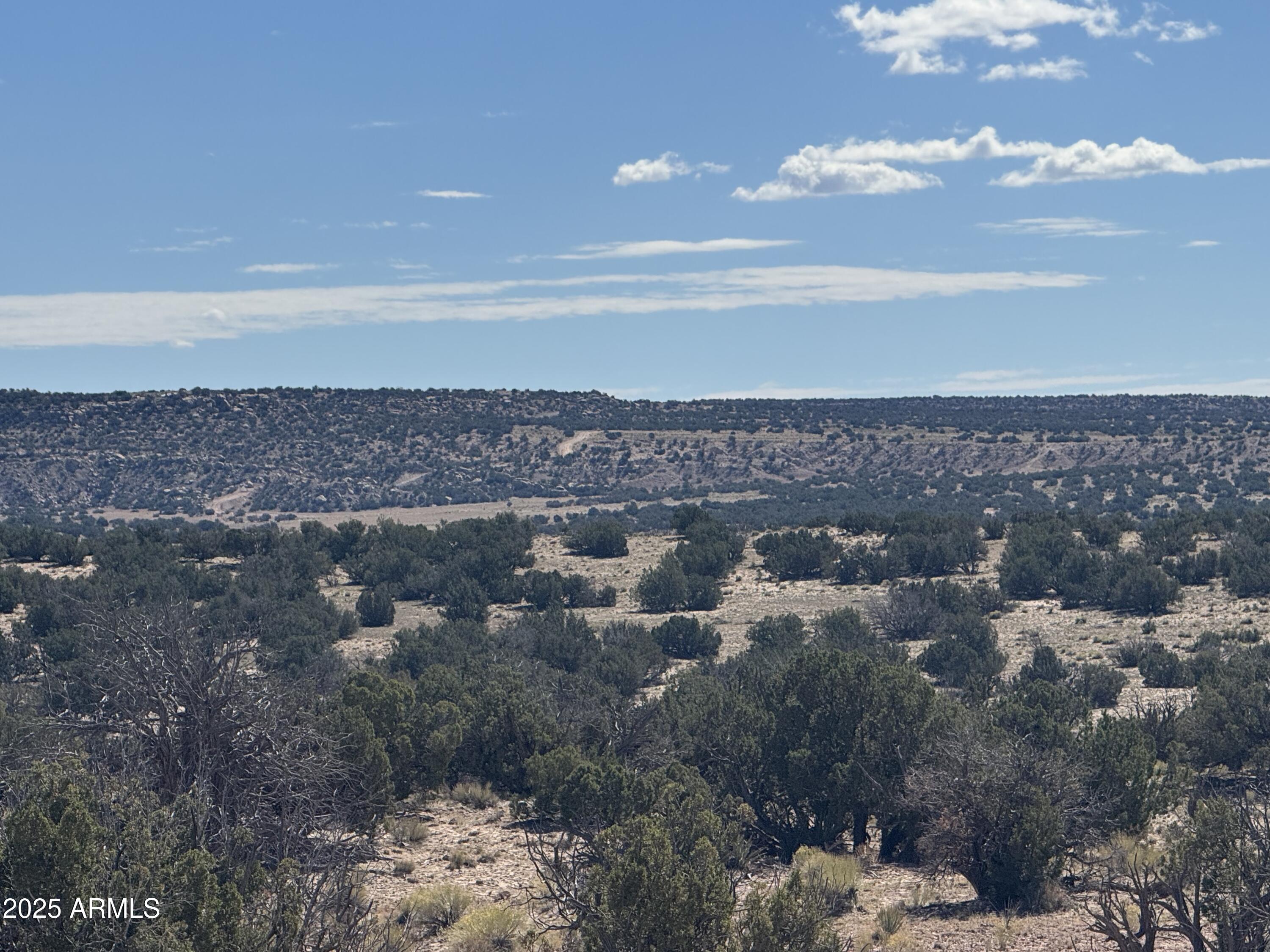 Lot 746 Woodland Valley Ranch, Unit 746 St. Johns, AZ 85936 - Photo 10 of 12 a view of a city
