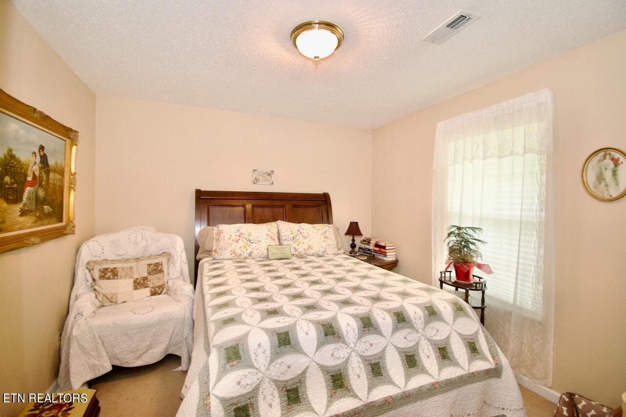 3865 Big Springs Ridge Road Friendsville, TN 37737 - Photo 22 of 36 Gallery Image 22