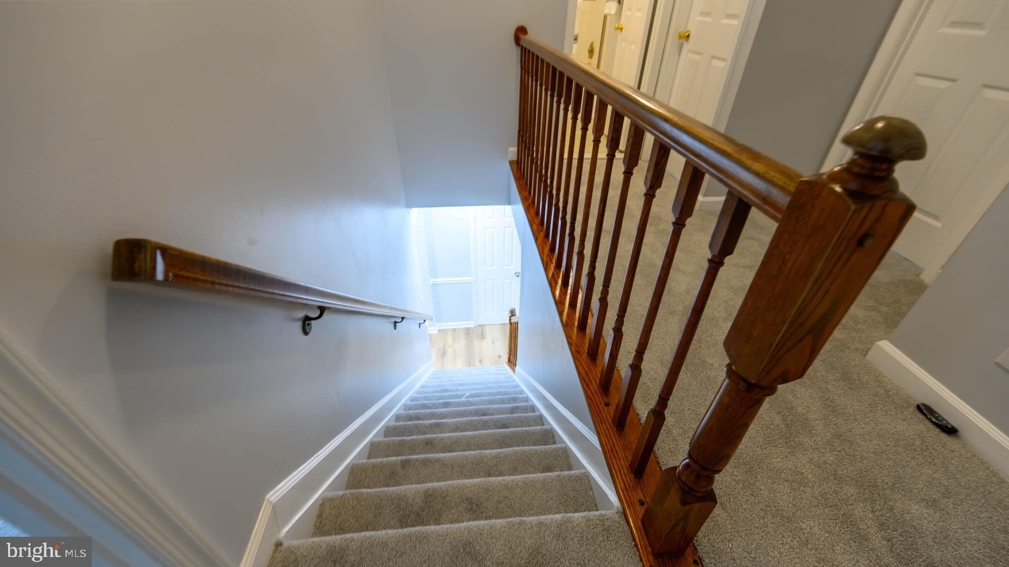2832 Strauss Terrace Silver Spring, MD 20904 - Photo 52 of 80 Lower Level Steps All New Carpet