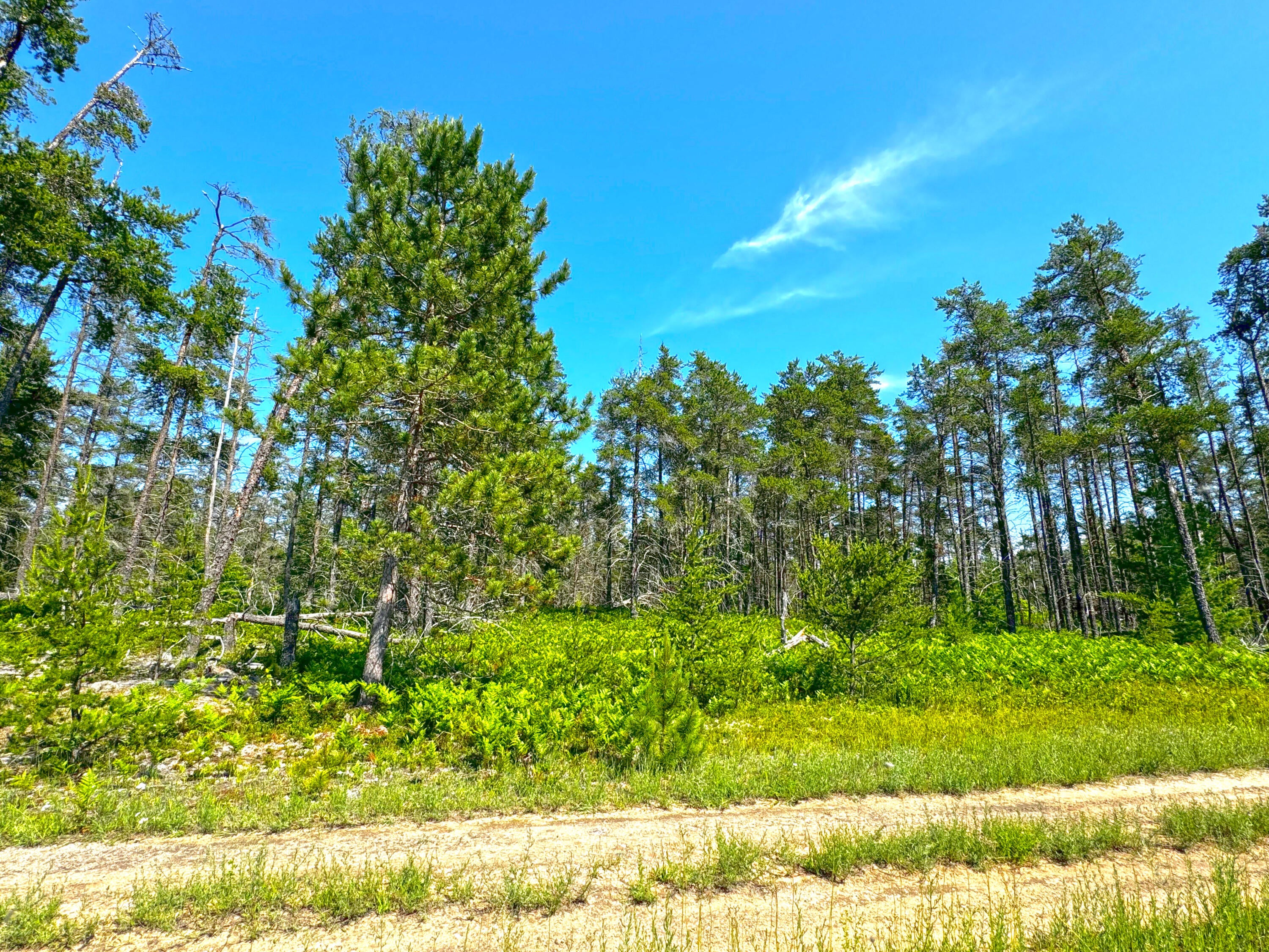 13907 North Whitefish Point Road Paradise, MI 49768 - Photo 13 of 15 Gallery Image 13