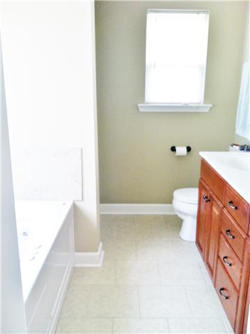 111 Legends Ridge Drive Lebanon, TN 37090 - Photo 8 of 13 Master Bath with shower and garden tub