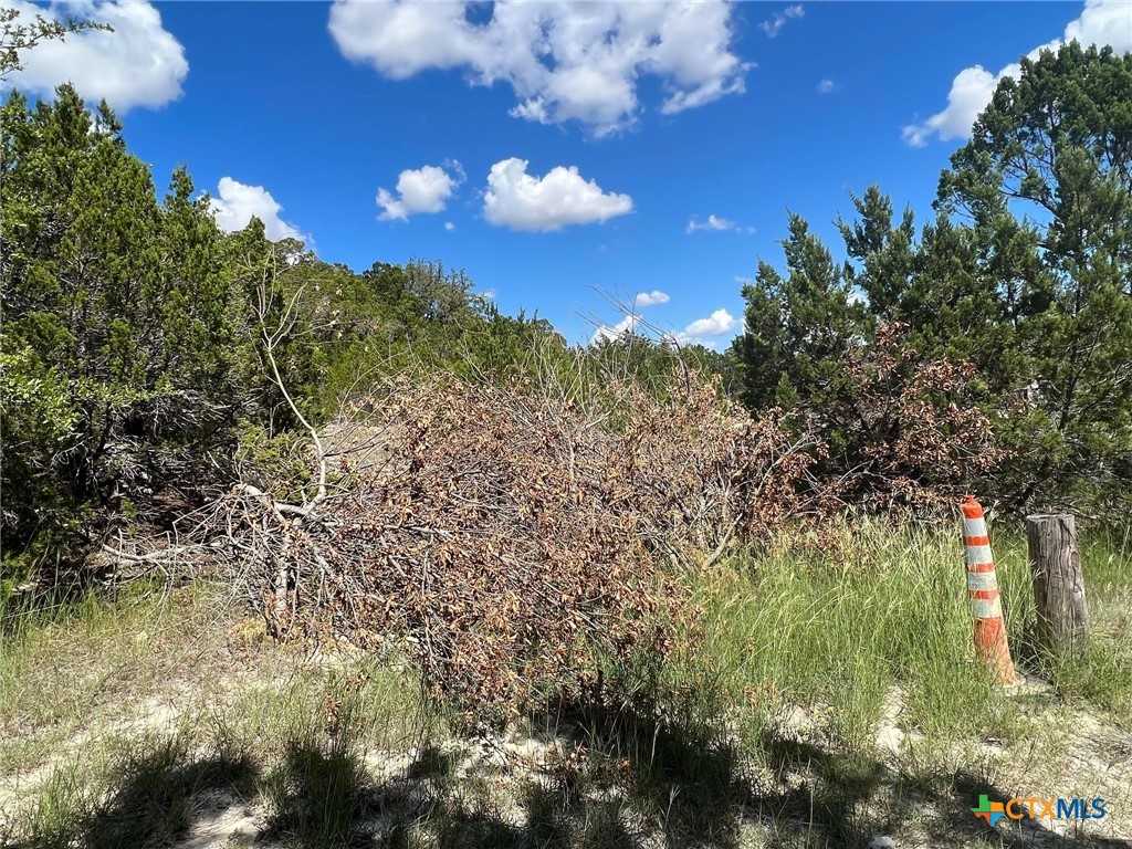 1223 Ritter Street Copperas Cove, TX 76522 - Photo 2 of 6 a view of a yard with lots of green space