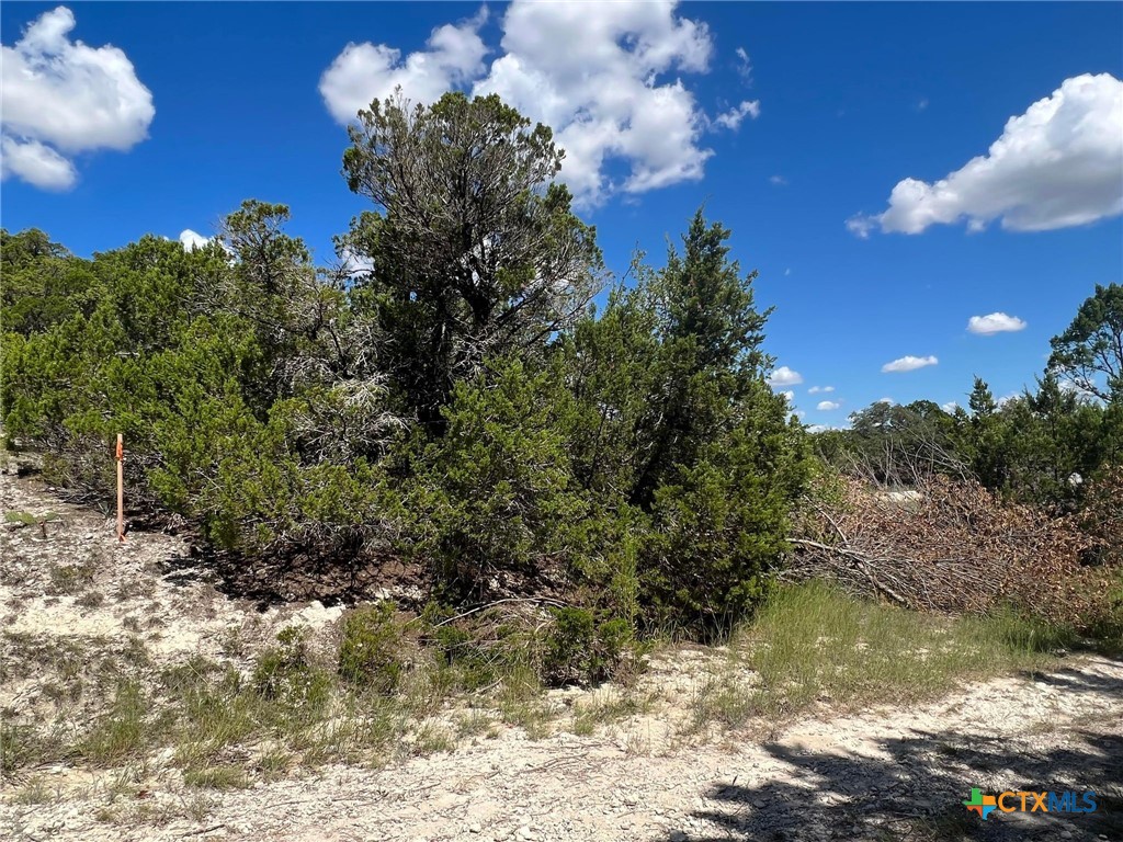 1223 Ritter Street Copperas Cove, TX 76522 - Photo 6 of 6 a view of a lake view