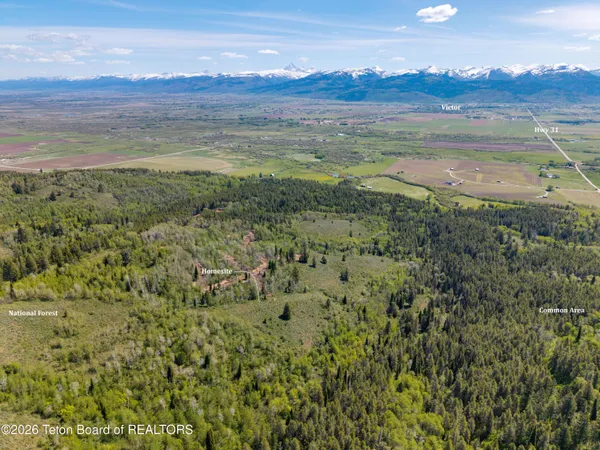 $1,450,000 | Tbd Lot 5 Tbd Lane, Victor, ID 83455