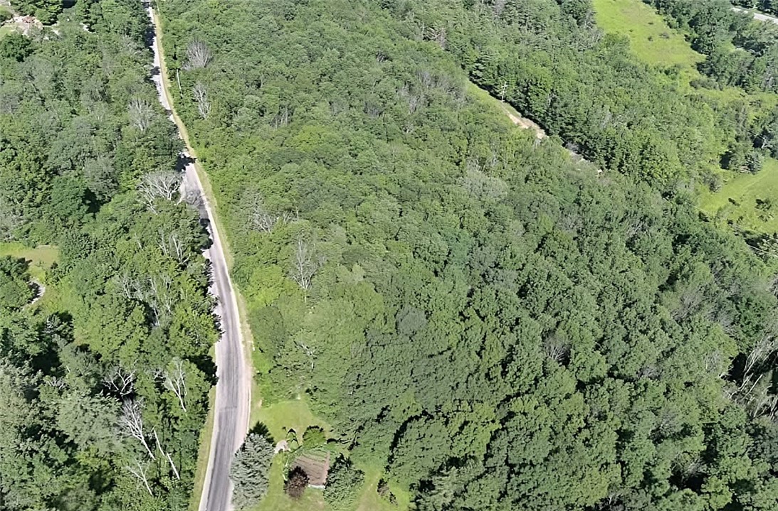 1213 Ferris Hill Road Prattsville, NY 12468 - Photo 28 of 30