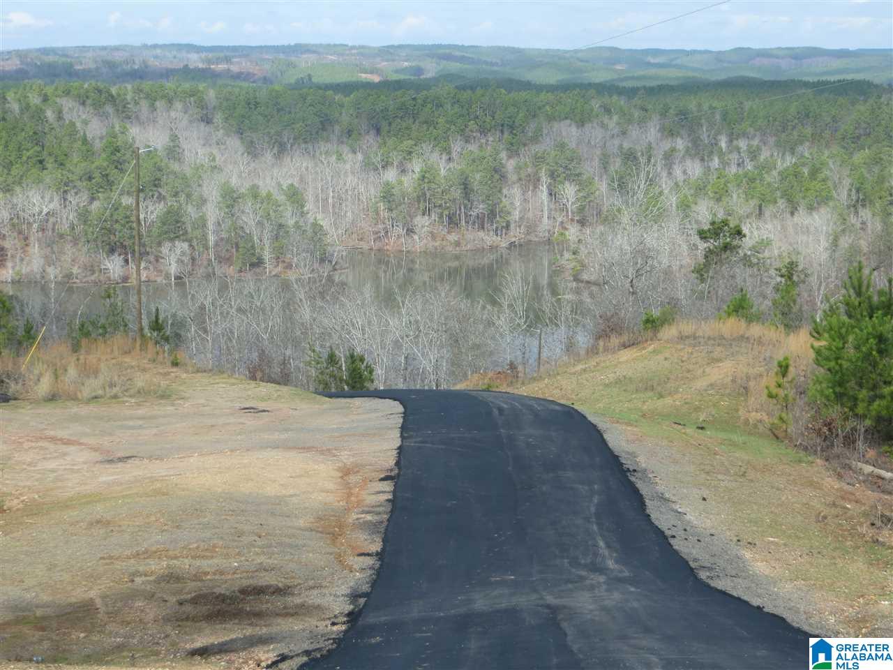 Lot 3 Eagle Mountain Road, Unit 3 Alexander City, AL 35010 - Photo 6 of 6