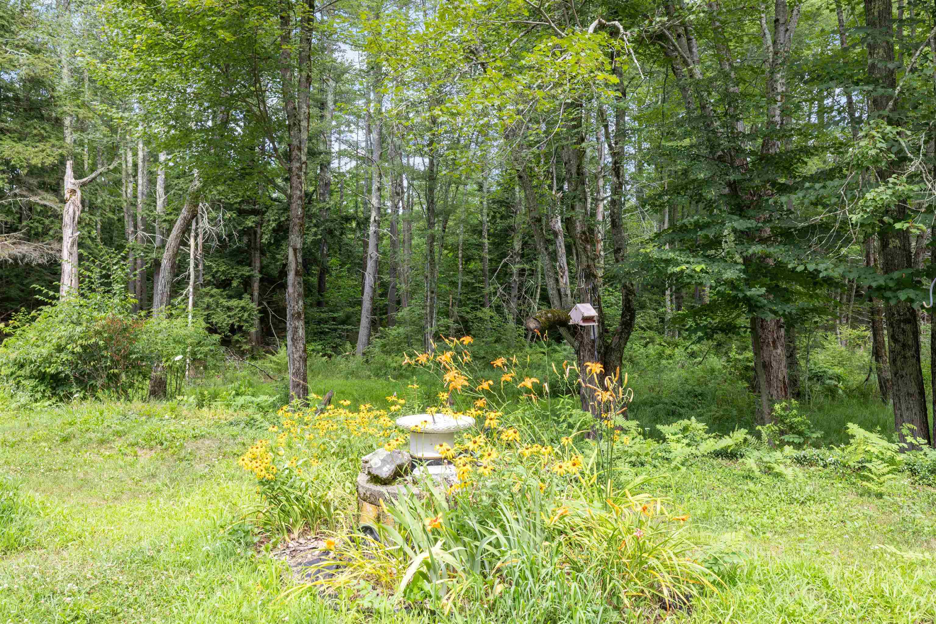 75 New Boston Road Greenfield, NH 03047 - Photo 8 of 39 Gallery Image 8