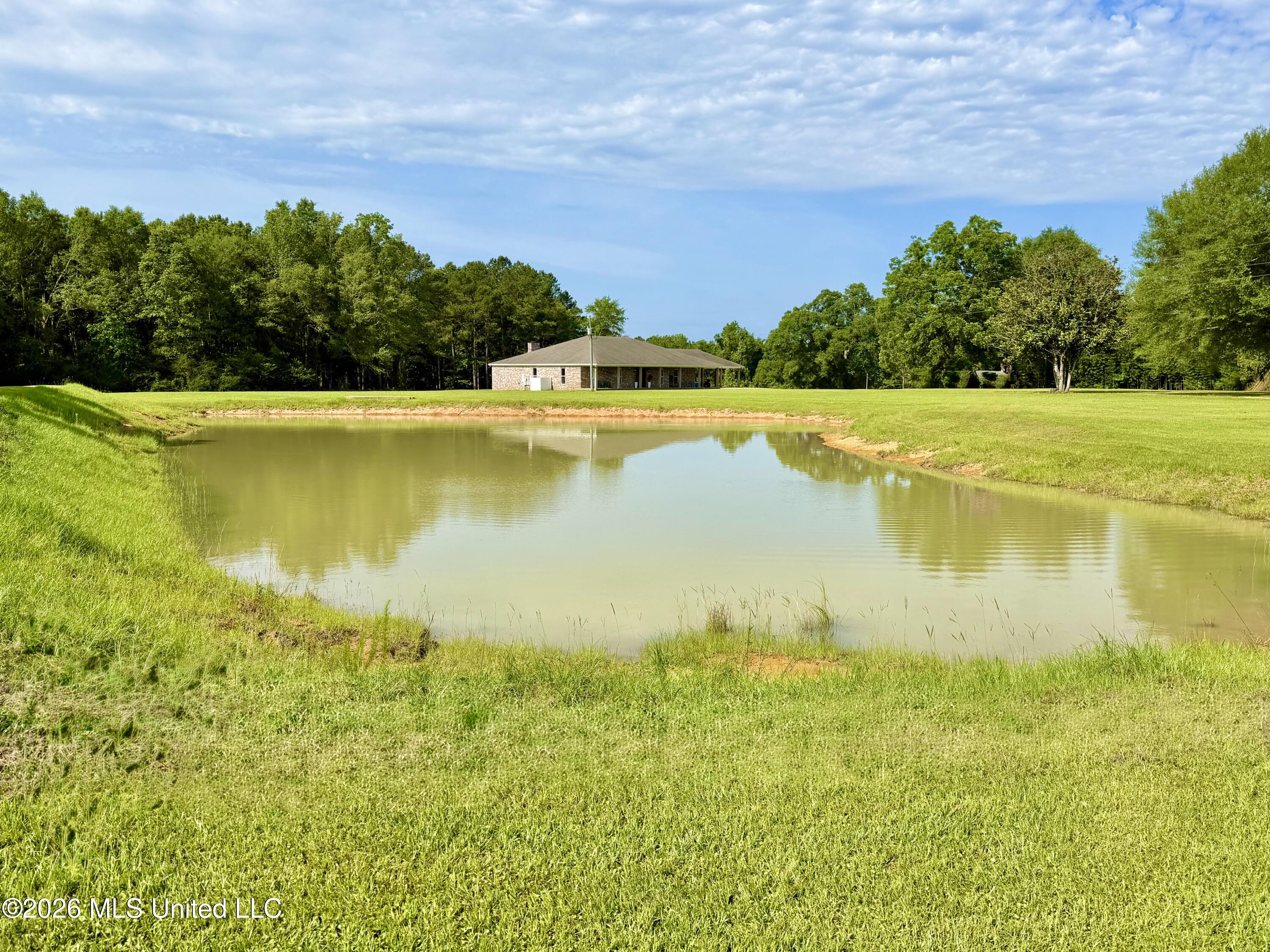 464 Goss Bunker Hill Road Columbia, MS 39429 - Photo 25 of 32 JunePond3
