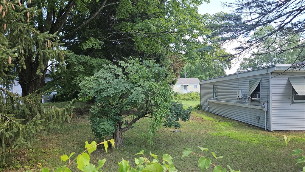 45 Wallace Street Springfield, MA 01119 - Photo 3 of 27 a view of a backyard with plants