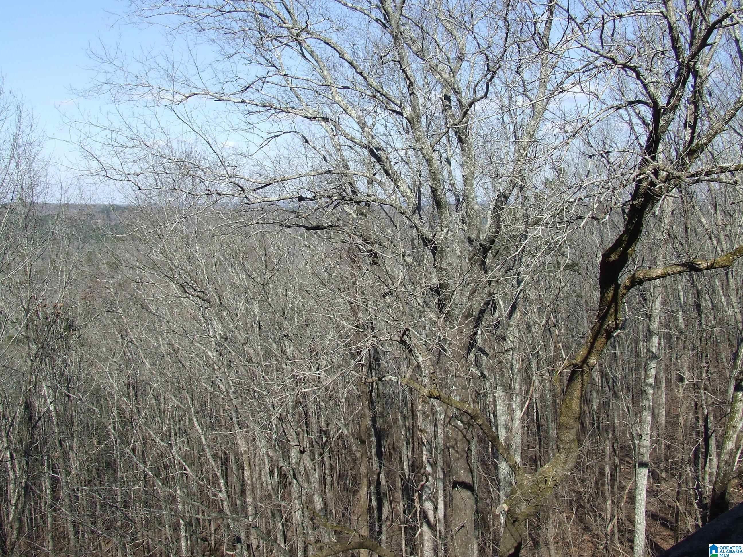 5510 South Shades Crest Road Bessemer, AL 35022 - Photo 5 of 9