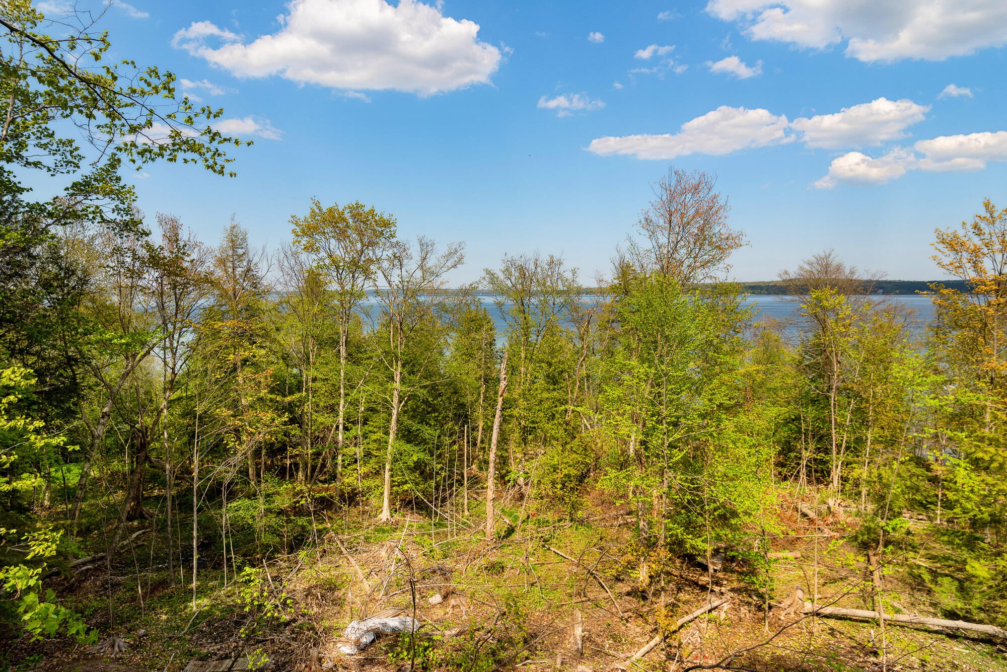 3226 Hidden Ridge Road Alanson, MI 49706 - Photo 15 of 23 Gallery Image 15