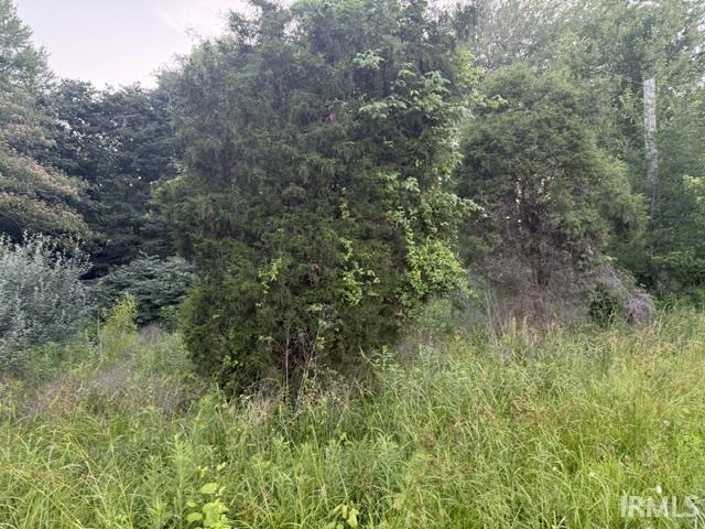 1577 South Pelzer Road Boonville, IN 47601 - Photo 7 of 11