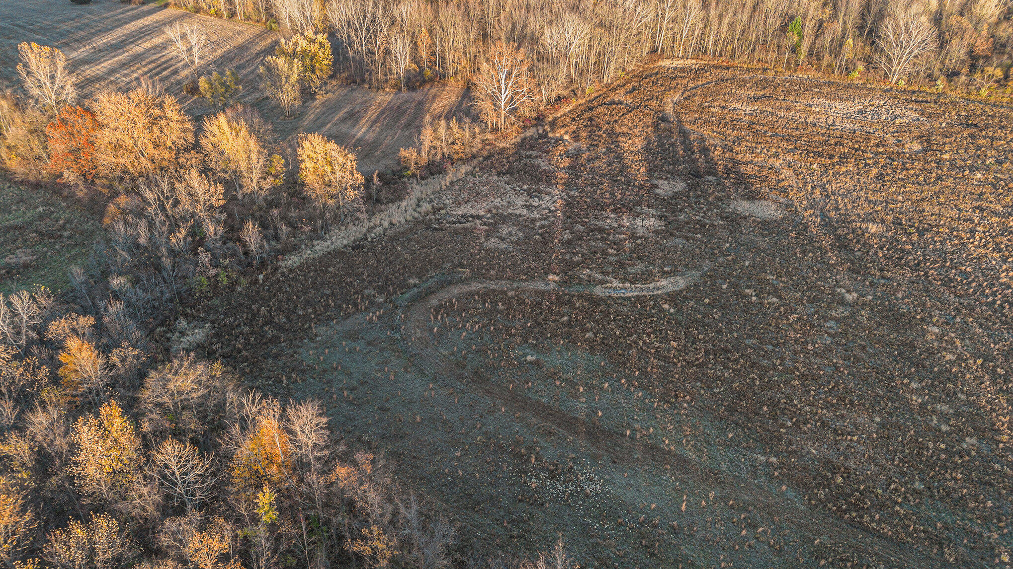 69474 68th Avenue Watervliet, MI 49098 - Photo 12 of 24 008_dji_0133_594