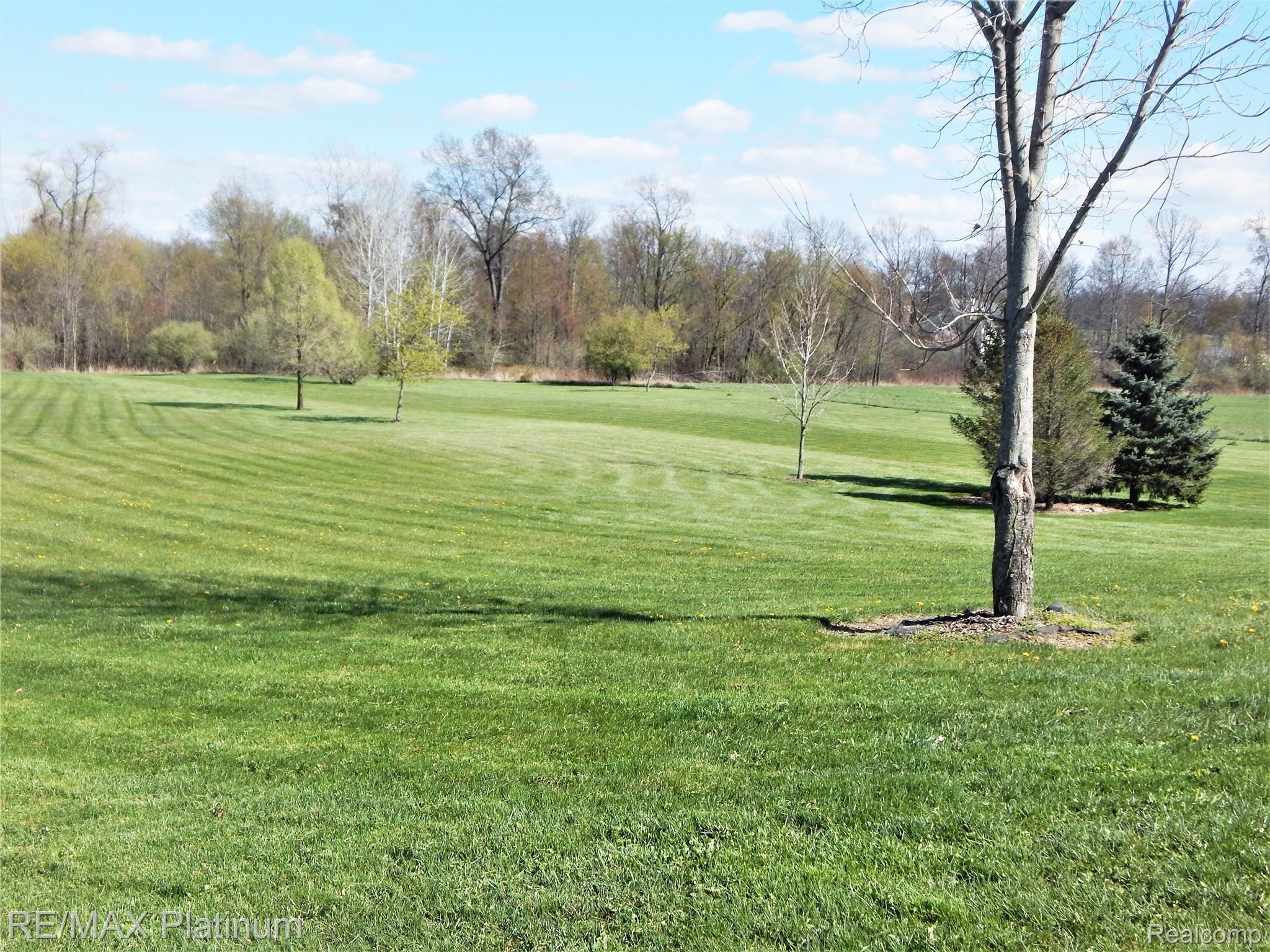 2962 Stillson Road Stockbridge, MI 49285 - Photo 90 of 93 DSCN9199.JPG