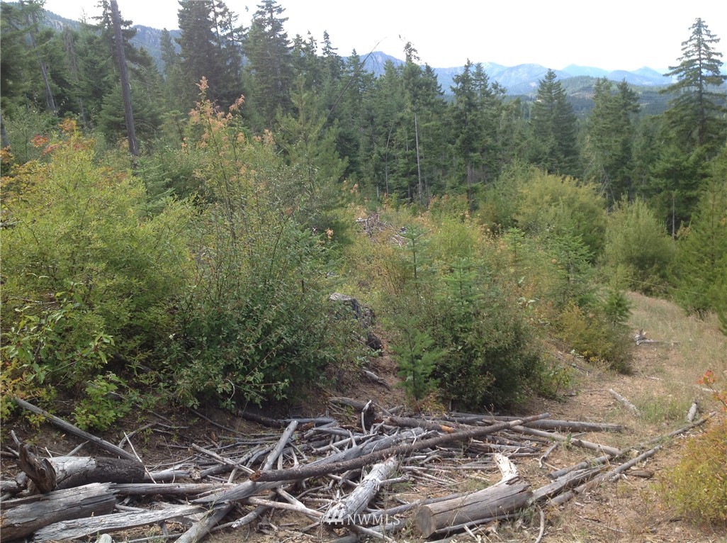 2634-lot South Cle Elum Ridge Road Cle Elum, WA 98922 - Photo 3 of 8 Gallery Image 3