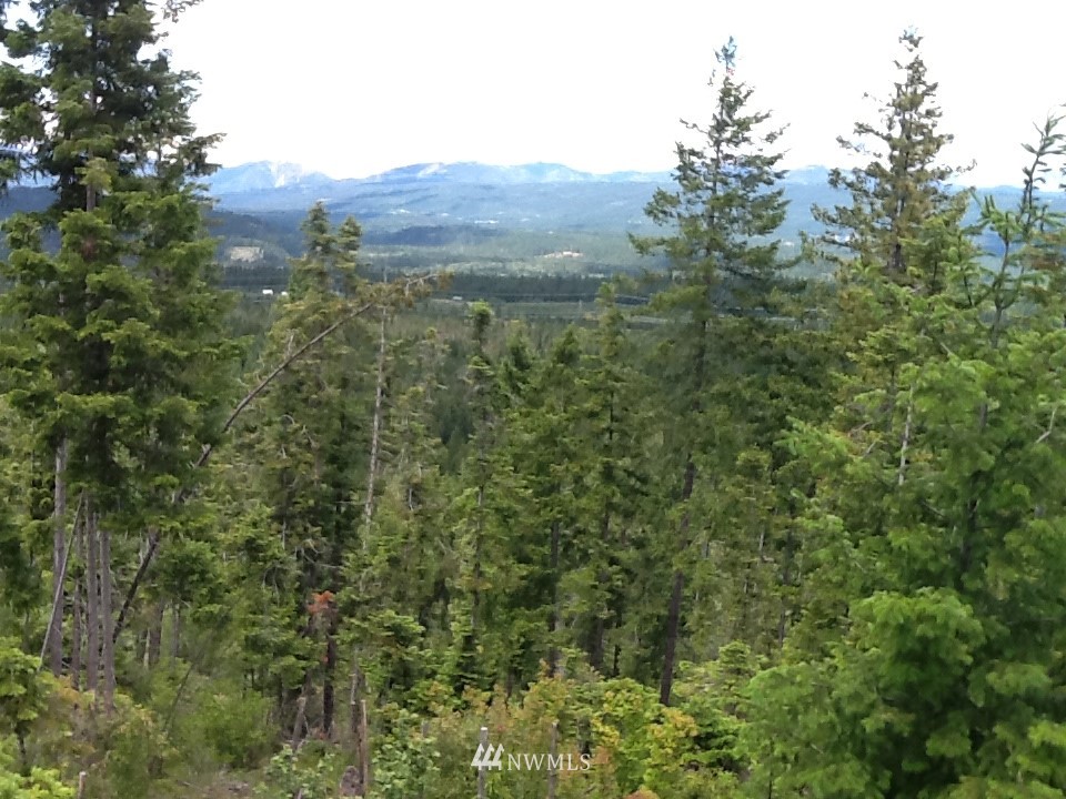 2634-lot South Cle Elum Ridge Road Cle Elum, WA 98922 - Photo 5 of 8 Gallery Image 5