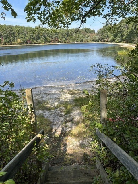 222 Buck Island Road, Unit 54 Yarmouth, MA 02673 - Photo 23 of 32 Gallery Image 23