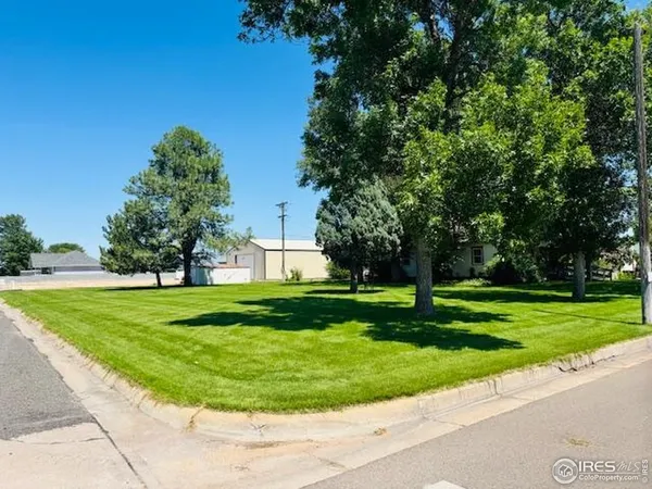 a view of a big yard with large trees