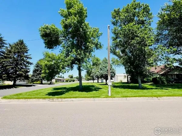 a view of a park with plants and large trees