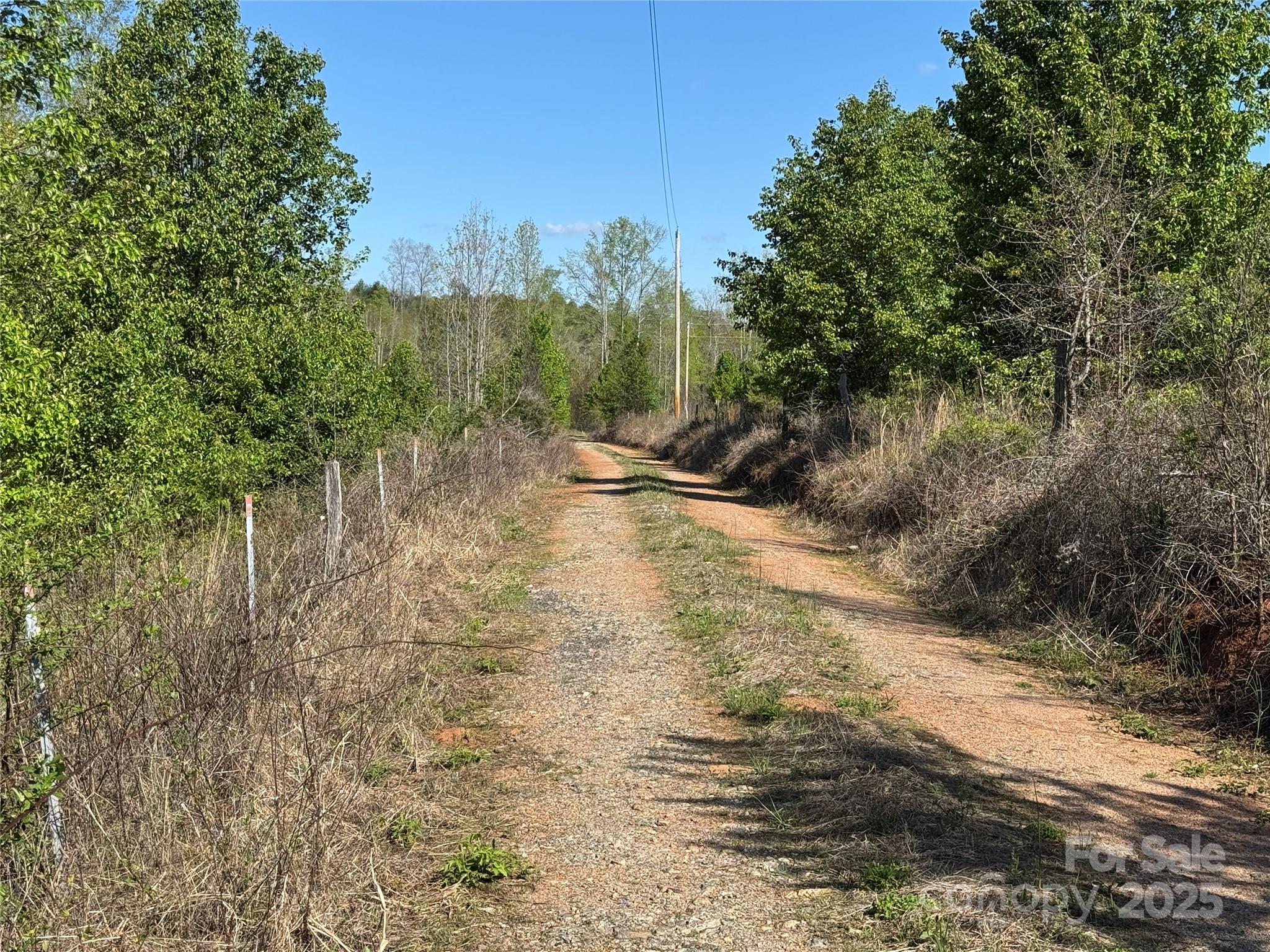 a view of a yard with trees and bushes