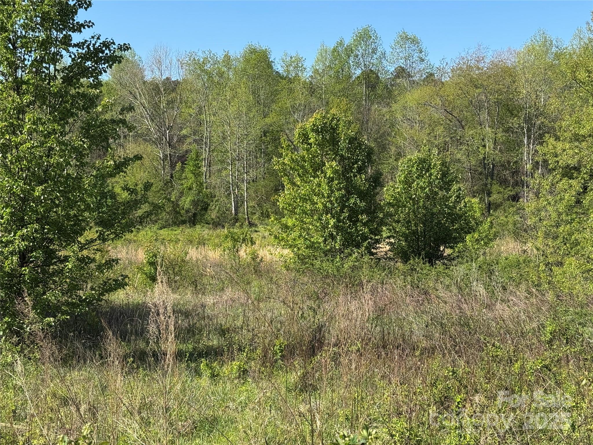 0 Jr Tallent Road, Unit B Morganton, NC 28655 - Photo 5 of 8 a view of a yard