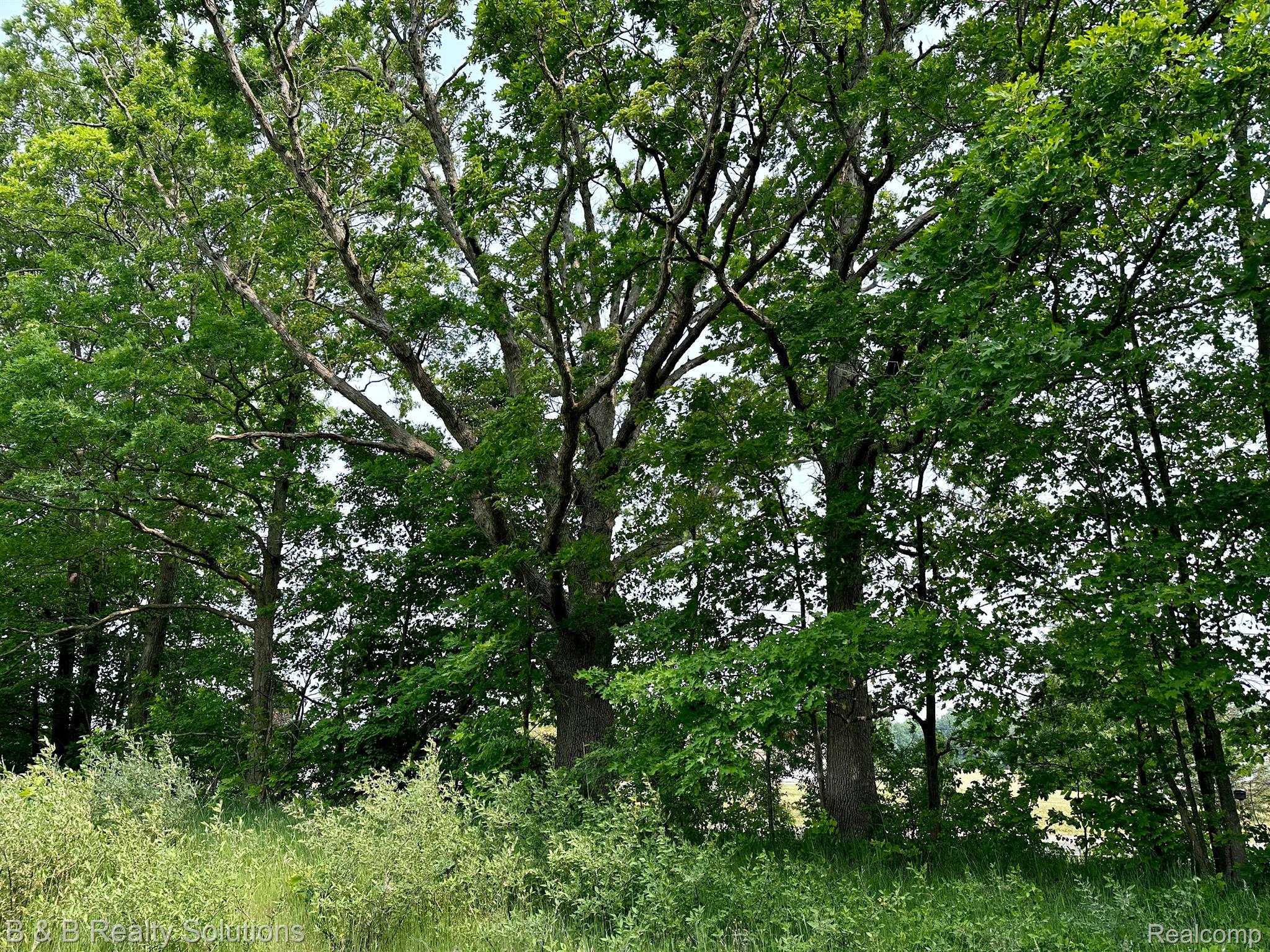 0 West Coulter Road Lapeer, MI 48446 - Photo 1 of 13 Gallery Image 1