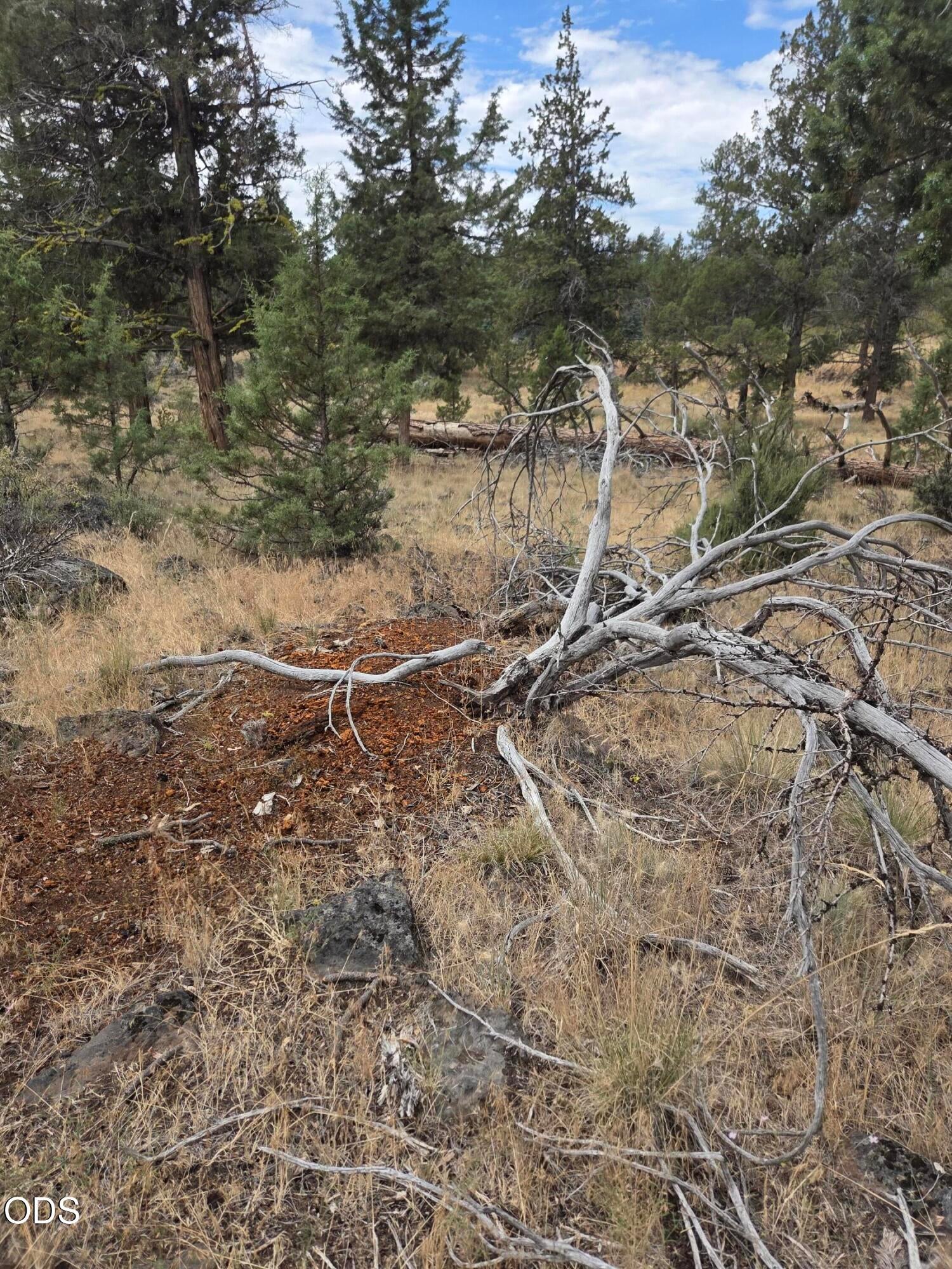 8314 Bly Mountain Cutoff Road Bonanza, OR 97623 - Photo 18 of 29 Gallery Image 18