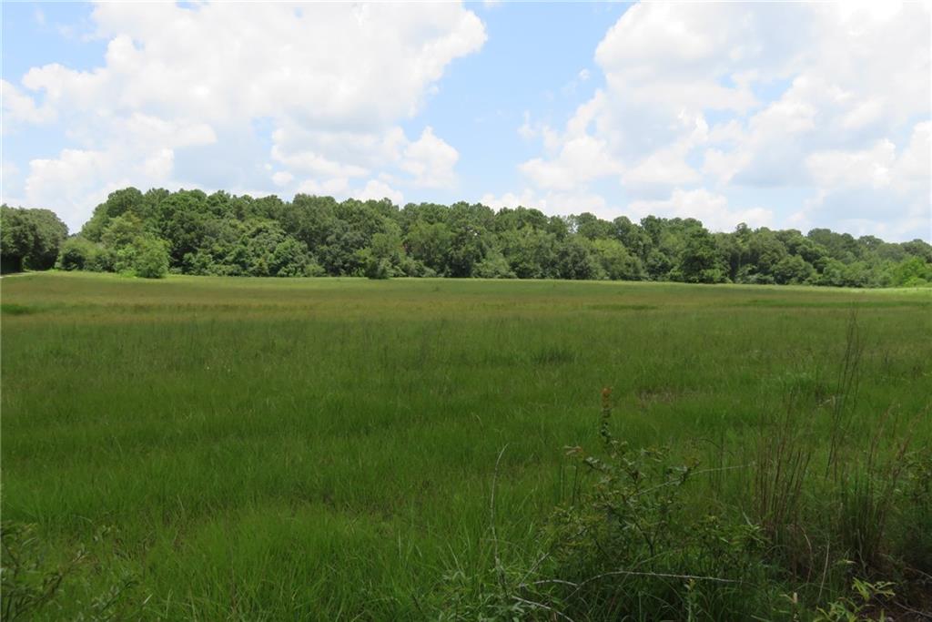 81140 Robinson Road Folsom, LA 70437 - Photo 28 of 30 Gallery Image 28