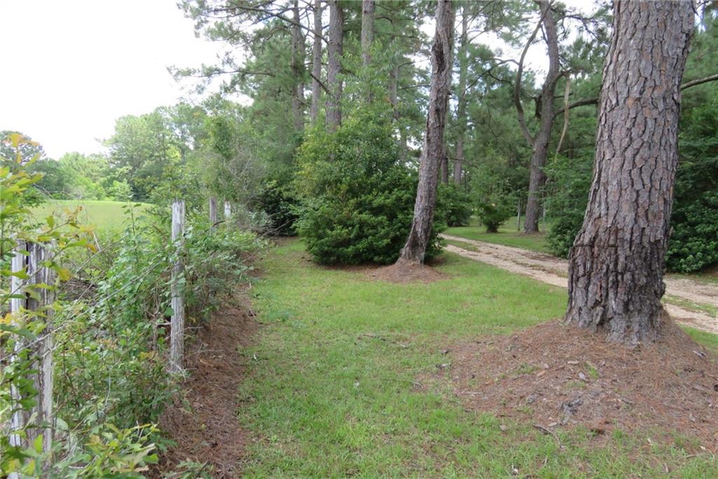 81140 Robinson Road Folsom, LA 70437 - Photo 29 of 30 Gallery Image 29