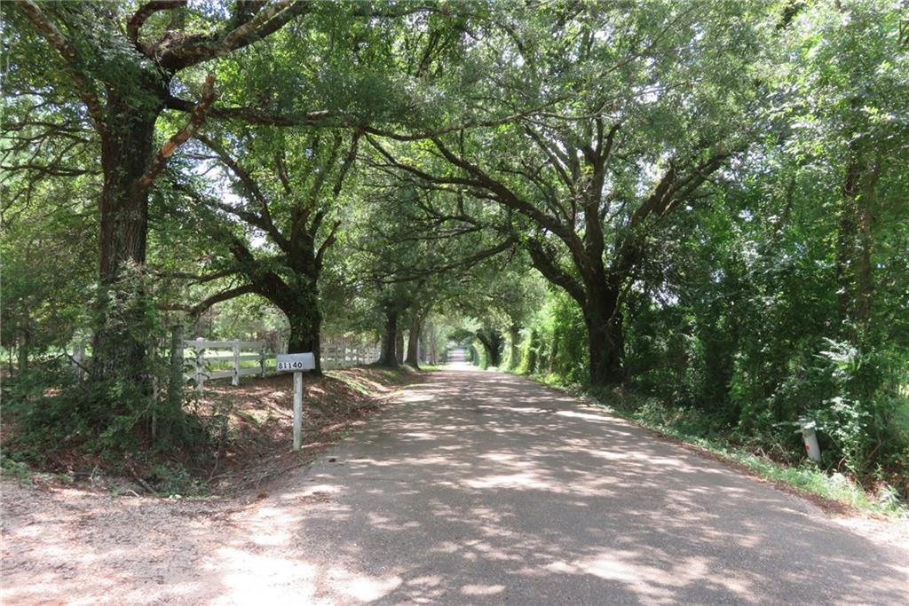 81140 Robinson Road Folsom, LA 70437 - Photo 30 of 30 Gallery Image 30
