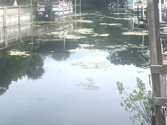 a view of outdoor space yard and balcony