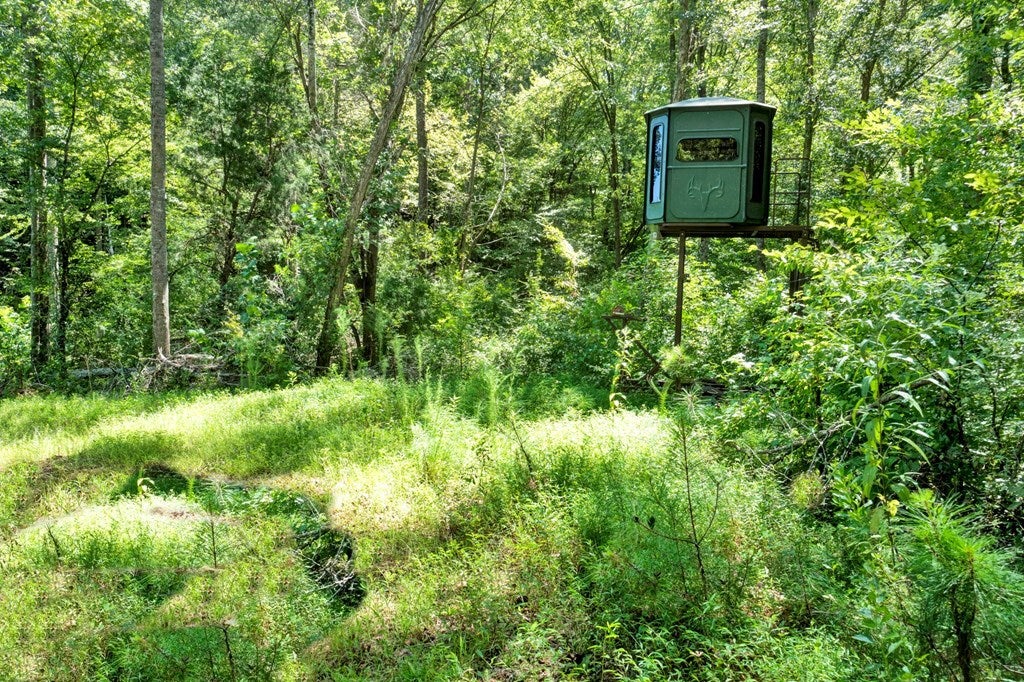 790 Free Bridge Road Ware Shoals, SC 29692 - Photo 11 of 15 Gallery Image 11